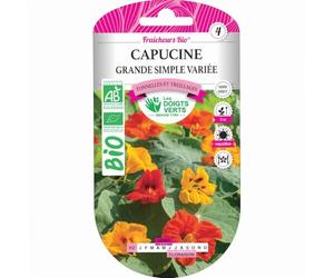 Graines capucine grande variée BIO Les Doigts Verts