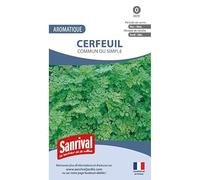 Graines Cerfeuil commun