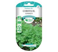 Graines cerfeuil commun BIO Les Doigts Verts