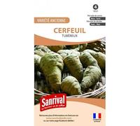 Graines Cerfeuil Tubereux