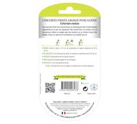 Graines Chicorée Frisée Grosse Pancalière BIO Les Doigts Verts