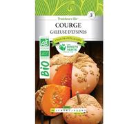 Graines Courge Galeuse d'Eysines BIO Les Doigts Verts