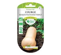 Graines Courge Musquée Waltham Butternut BIO Les Doigts Verts
