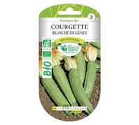 Graines courgette blanche de Gênes BIO Les Doigts Verts