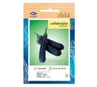 Graines d’aubergine asiatique longue violette - Eggplant Chia Tai Home Garden - Aubergine thaïlandaise pour potager, serre ou balcon - Sachet de 270 graines