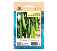 Graines d’aubergine longue verte thaï - Eggplant Long Green Chia Tai Home Garden - Aubergine asiatique pour currys, woks et grillades - Sachet de 200 graines
