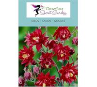 Graines d'ancolie 'Ruby Port' - Aquilegia - vivaces