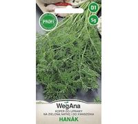 Graines D'aneth Aneth Hanak 5g Aneth De Jardin Robuste Graines De Légumes Graines De Culture Semences