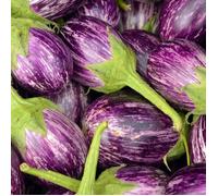Graines d'Aubergine Listada de Gandia - Vilmorin