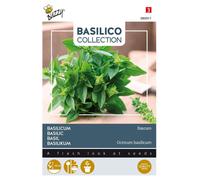 Graines de basilic Bascuro Buzzy - Environ 1,5 gr | Buzzy_080911