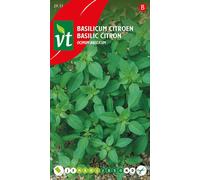 Graines de basilic citron - Env. 0,75 gr | VT_2931