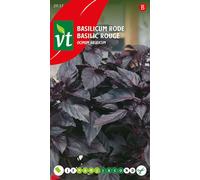 Graines de basilic rouge - Env. 0,5 gr | VT_2937