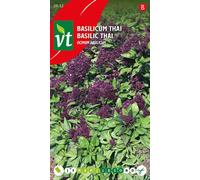 Graines de basilic thaï - Env. 0,4 gr | VT_2932
