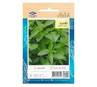 Graines de basilic thaï Hoary Basil - basilic citronné Maenglak Chia Tai Home Garden - Herbe aromatique pour cuisine thaï, laotienne et soupes asiatiques - sachet de 600 graines