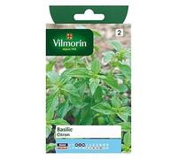 Graines De Basilic Variété "Citron" Vilmorin Semis De Mars À Mai