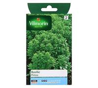 Graines De Basilic Variété "Pistou" Vilmorin Semis De Mars À Mai