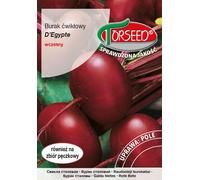 Graines de Betterave rouge D'Egypte 15g - Torseed