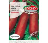 Graines de betterave rouge Opolski 15g - Torseed