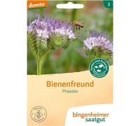 Graines de Bingenheimer - Phazelie amie des abeilles - 25g