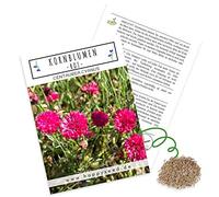 Graines de bleuets (Centaurea cyanus), belles fleurs lumineuses avec une longue période de floraison pour une prairie fleurie colorée (rouge, grain 1000, 80 cm)