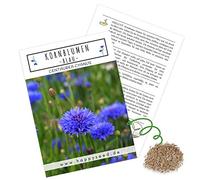 Graines de bleuets (Centaurea cyanus), belles fleurs lumineuses avec une longue période de floraison pour une prairie fleurie colorée (bleu, grain 1000, 80 cm)