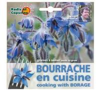 Graines de Bourrache comestible en sachet G