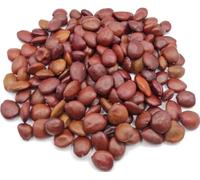 Graines de Caroube Bio Grecques 40g - 1.95Kg Ceratonia Siliqua (1950 grammes)