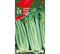 Graines de céleri Green Pascal - Env. 2 gr | VT_607