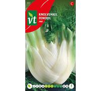 Graines de céleri-rave Fino - Env. 1,5 gr | VT_937