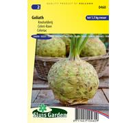 Graines de céleri -Rave Goliath Graines - Graines de tubercules - et de racines - Environ 0,1 g | SG0460