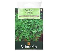 Graines De Cerfeuil Variété "Commun" Vilmorin Semis Toute L'année