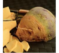 Graines de Chou-navet Rutabaga Champion Jaune À Collet rouge - Vilmorin