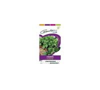 Graines de Coriandre cultivée - Aromatique - Potager et verger