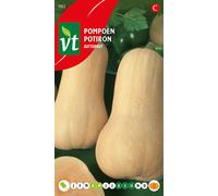 Graines de courge butternut - Environ 1,5 gr | VT_982