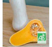 Graines de Courge Butternut Waltham Butternut - Sans traitement - Vilmorin