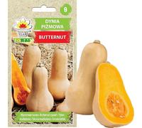 Graines de courge Graines de légumes Butternut Boissons Graines de courge Graines de légumes