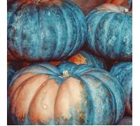 Graines de Courge Musquée d'Hiver de Provence - Vilmorin