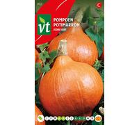 Graines de courge Uchiki Kuri - Environ 3 gr | VT_932