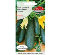 Graines de Courgette Black Beauty précoce 2g - Torseed