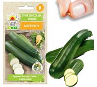 Graines de courgette Courge Nefertiti Légumes Vert Délicieux 3G Courgette