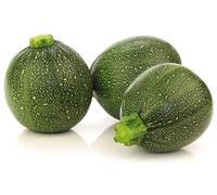 Graines de courgette ronde Nizza - courgette à farcir, griller & cuisiner - variété précoce, productive - pour au moins 12 plantes - graines courgette potager | Love my Nature