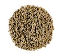 Graines de Fenouil Bio Entières en Vrac - Grand Format