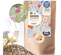 Graines de fleurs 100 g I graines de fleurs sauvages pour 50 m² pour abeilles I mélange de fleurs pour balcon et fleurs sauvages I prairie fleurie colorée pour abeilles