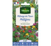 Vilmorin 5862842 Fleur mellifère Multicolore 9 x 0.5 x 16 cm