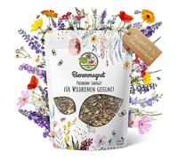 Graines de fleurs sauvages haut de gamme pour une prairie fleurie colorée - Mélange de graines de fleurs colorées et riches en nectar pour les abeilles et les papillons (100 g (pour min. 20 m²))