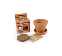 Radis et Capucine – Kit plantation Fraisier – 8 cm