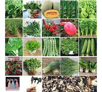 Graines de Fruits Légumes, 1000 Pcs Mélange de 20 Espèces de Graines de Fruits Légumes avec Arrosoir Outils de Plantation Graines de Fruits Légumes Mixtes