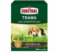 Graines de gazon Graines de gazon universelles Graines de gazon robustes Substral dense 3kg