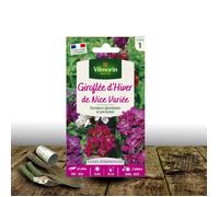 Graines de Giroflée D'hiver de Nice - Vilmorin