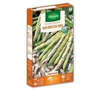 Graines de Haricot à Ecosser Saint Esprit à Oeil Rouge